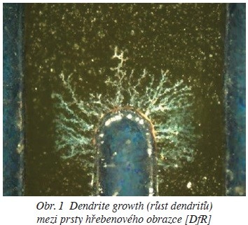 Obr. 1 Dendrite growth (růst dendritů) mezi prsty hřebenového obrazce [DfR]